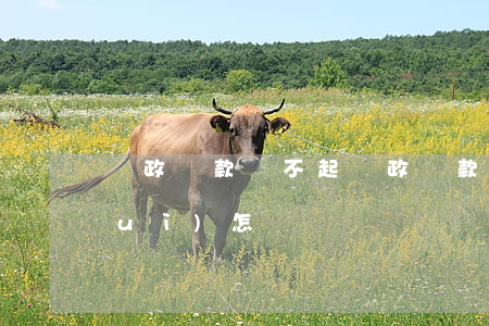 郵政貸款還不起 郵政貸款到期還不上會(huì)怎樣
