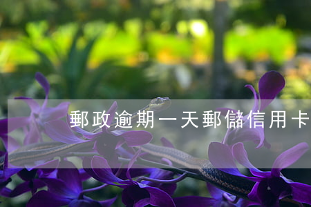 郵政逾期一天（郵儲信用卡逾期一周）