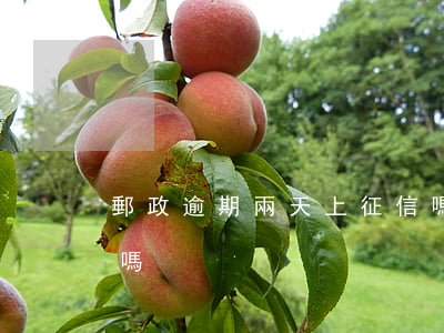 郵政逾期兩天上征信嗎（中郵逾期兩天上征信嗎）