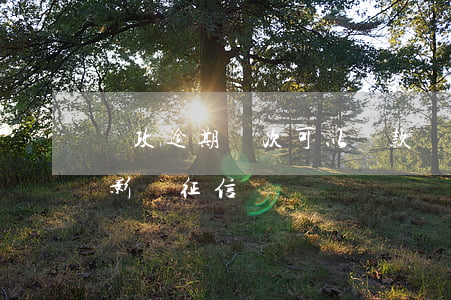 郵政逾期幾次可以貸款(郵政貸款逾期多久會影響征信)