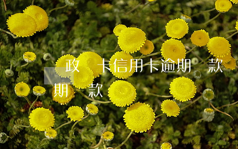 郵政銀卡信用卡逾期還款(郵政銀行信用卡延期還款)