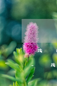 郵政銀行信用卡個(gè)性化分期的條件-郵政銀行信用卡個(gè)性化分期的條件是什么