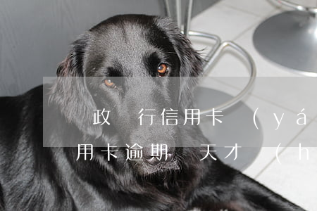 郵政銀行信用卡嚴(yán)重逾期(郵政信用卡逾期幾天才會(huì)對(duì)信用造成影響)