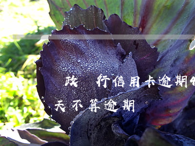 郵政銀行信用卡逾期4天(郵政信用卡逾期幾天不算逾期)