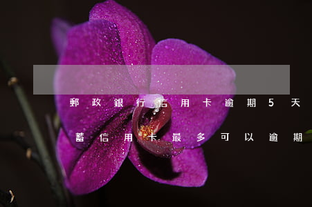 郵政銀行信用卡逾期5天(郵政儲(chǔ)蓄信用卡最多可以逾期幾天)