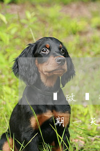 郵政銀行信用卡逾期兩月了(郵政銀行貸款逾期一天會影響信用嗎)