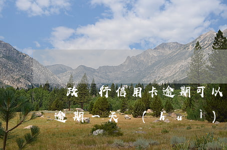 郵政銀行信用卡逾期可以分期(郵政銀行貸款逾期一天會(huì)影響信用嗎)