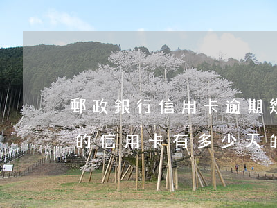 郵政銀行信用卡逾期幾天產生利息(郵政銀行的信用卡有多少天的還款寬限期)