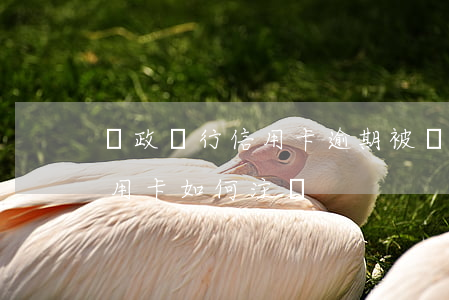 郵政銀行信用卡逾期被銷戶了(郵政銀行的信用卡如何注銷)