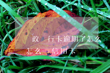 郵政銀行卡逾期了怎么辦(郵政銀行卡逾期了怎么辦信用卡)