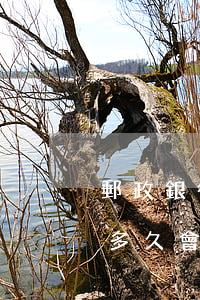 郵政銀行房貸逾期寬限期(郵政銀行房貸逾期多久會(huì)被起訴)