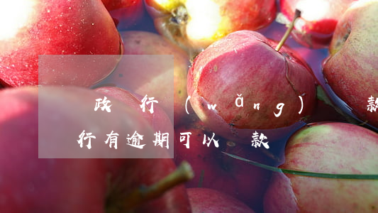 郵政銀行網(wǎng)銀貸款逾期(郵政銀行有逾期可以貸款嗎)