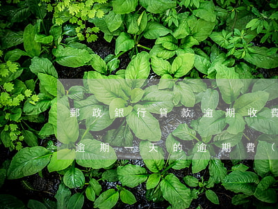 郵政銀行貸款逾期收費(fèi)(郵政房貸逾期一天的逾期費(fèi)是多少)