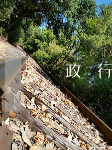 郵政銀行逾期兩天（郵政信用卡可以逾期幾次）