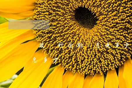 郵政銀行逾期罰息是多少（郵儲信用卡逾期利息多少）