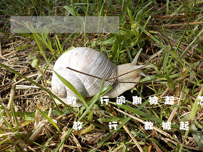 郵政銀行逾期被起訴怎么協(xié)商-郵政銀行貸款被起訴