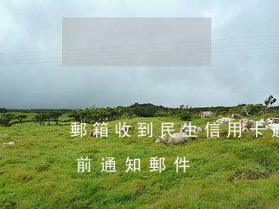 郵箱收到民生信用卡逾期告知函(民生銀行訴前通知郵件)