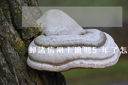郵諸信用卡逾期5年了怎么查