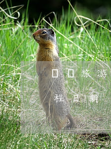 郵輪旅游合同簽訂后，旅行社不得擅自變更行程日期