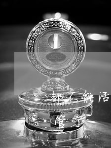 都不能活了還管他逾期-全部逾期了就不要管了