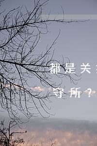 都是关押犯人的地方，为什么还要分监狱和看守所？可不能弄混了