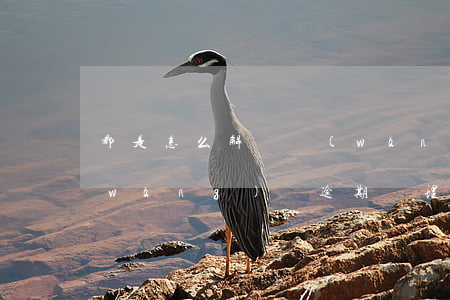 都是怎么解決網(wǎng)貸逾期的(網(wǎng)貸逾期處理方法)