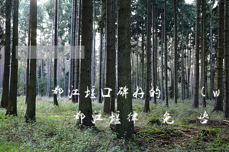 都江堰口碑好的債務(wù)律師咨詢熱線-都江堰律師免費咨詢在哪里
