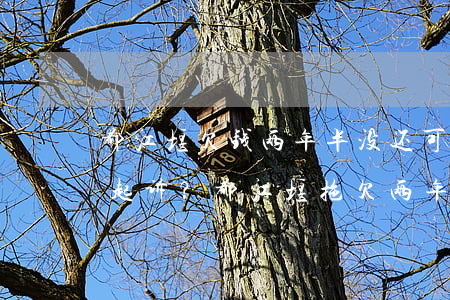 都江堰欠钱两年半没还可以起诉吗法院，能否起诉？都江堰拖欠两年半的债务问题