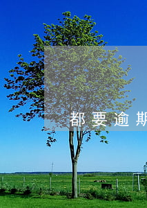 都要逾期了怎么辦呀(要是逾期了怎么辦)