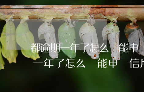 都逾期一年了怎么還能申請信用卡-都逾期一年了怎么還能申請信用卡呢