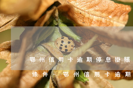 鄂州信用卡逾期停息掛賬申請(qǐng)條件-鄂州信用卡逾期停息掛賬申請(qǐng)條件是什么