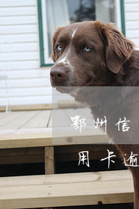 鄂州信用卡逾期怎么申請停息掛賬-鄂州信用卡逾期怎么申請停息掛賬的