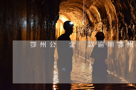 鄂州公積金貸款逾期(鄂州公積金貸款逾期)