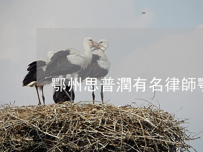 鄂州思普潤有名律師(鄂州律師名錄)