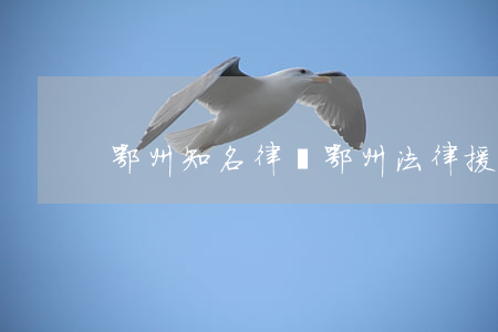 鄂州知名律師(鄂州法律援助中心律師)