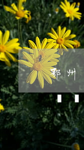 鄂州鴻勝交通事故(鄂州最近發(fā)生的車禍)