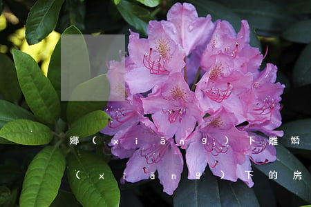 鄉(xiāng)下離婚后的房子(離婚了鄉(xiāng)下的房子怎么分)