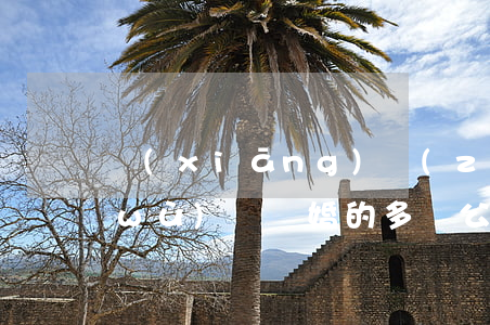 鄉(xiāng)鎮(zhèn)女公務(wù)員離婚的多嗎(公務(wù)員可以離婚嗎)