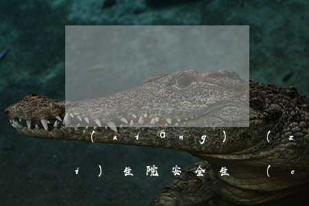 鄉(xiāng)鎮(zhèn)衛(wèi)生院安全生產(chǎn)基礎知識及法律法規(guī)(衛(wèi)生院安全生產(chǎn)工作包括哪些內(nèi)容)