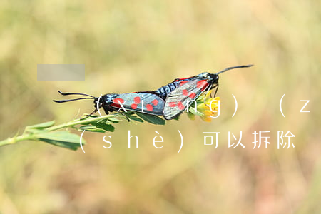 鄉(xiāng)鎮(zhèn)違法建設(shè)可以拆除嗎(農(nóng)村違章建筑鎮(zhèn)政府有權(quán)拆除嗎)