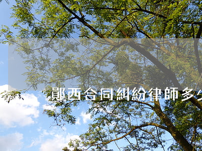 鄖西合同糾紛律師多少錢