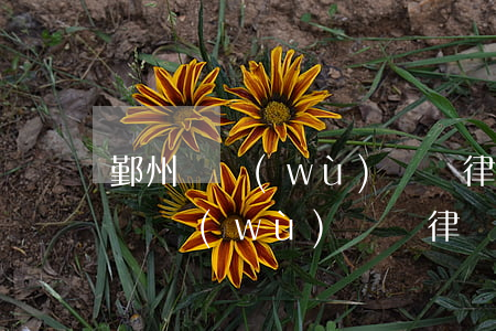 鄞州債務(wù)糾紛律師收費多少錢（鄞州債務(wù)糾紛律師收費）