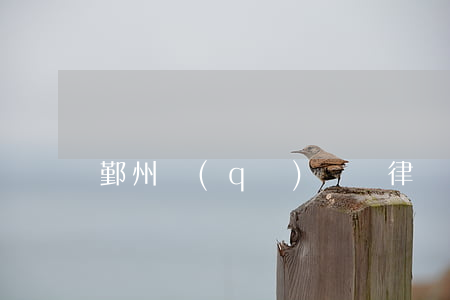 鄞州區(qū)債務律師排名(鄞州欠款律師)