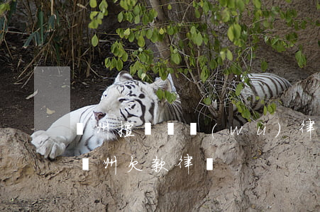 鄞州擅長債務(wù)律師收費(fèi)(鄞州欠款律師)