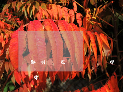 鄞州辦理債務糾紛律師-鄞州辦理債務糾紛律師電話