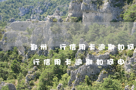 鄞州銀行信用卡逾期如何申請減免-鄞州銀行信用卡逾期如何申請減免利息