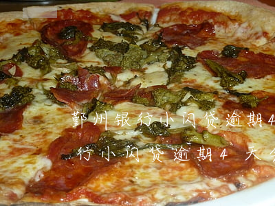 鄞州银行小闪贷逾期4天会怎么样-鄞州银行小闪贷逾期4天会怎么样吗
