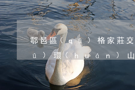 鄠邑區(qū)格家莊交通事故(鄠邑區(qū)環(huán)山路事故)