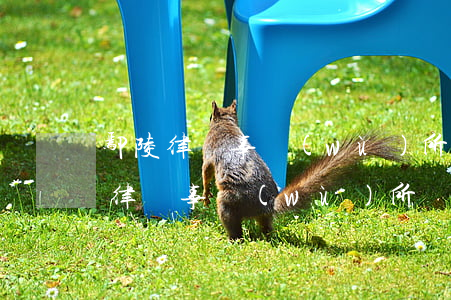 鄢陵律師事務(wù)所在哪里(鄢陵縣劉鵬律師事務(wù)所)