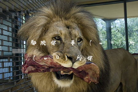鄢陵律師事務(wù)所律師(鄢陵律師事務(wù)所律師)